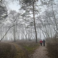 Уходим в туман :: Sergey Уходим в туман :: Sergey