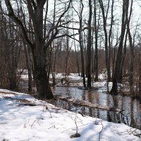 Журчат ручьи :: Андрей Зайцев