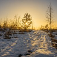Снежная дорога к солнцу :: Валерий VRN