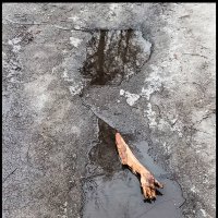 Новости Брянск :: Sergei Vikulov