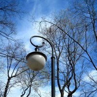 Санкт-Петербург. :: Ирина ***