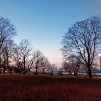 Вечер в парке Кадриорг :: Veera V