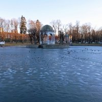 Лебединый пруд :: Veera V