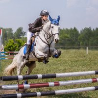 Конкур :: SanSan 