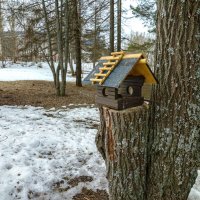 Новостройка. :: Михаил "Skipper"