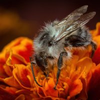 *   *   * :: Уже не важно ...