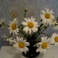 Ромашковый :: Елена Семигина