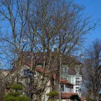 Зеленоградск. :: Константин Белоногов