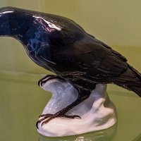 Ворон :: Ирина Соловьёва