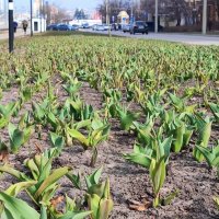 ,,, :: Сергей Тимоновский