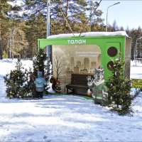 Ещё не убрали ёлки... :: Валентина *