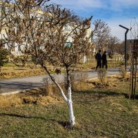 Весна :: Анатолий Чикчирный