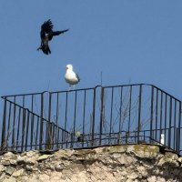 Темные силы нас злобно гнетут, :: Сергей Б.