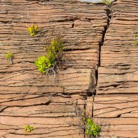 Слоёный пирог природы :: юрий Амосов