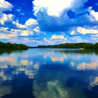 РЕЧНАЯ   ШИРЬ :: Анатолий Малобродский