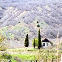 Домик виноградарей :: Геннадий Валеев