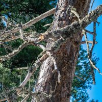 - :: Владимир Мигонькин