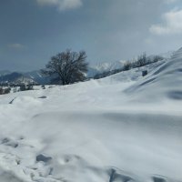 Ak Bulak. Talgar. :: Murat Bukaev 