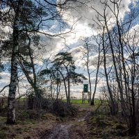 *** :: Николай Гирш