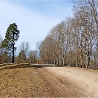 Гатчинские аллеи. :: Лия ☼