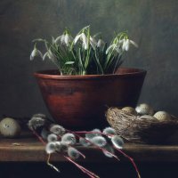 весна... :: Natali-C C