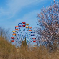 Весна :: Светлана Тихонина