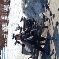 Настоящая и взаимная любовь :: Андрей Лукьянов