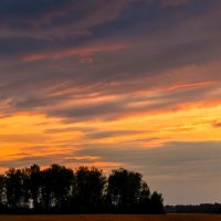 Где-то на Алтае. :: Евгений Голубев