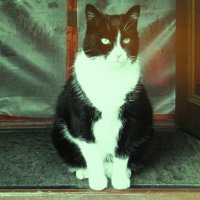 Ждёт меня :: Людмила Смородинская