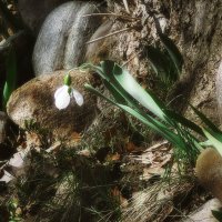 Мобильные зарисовки :: Michel 