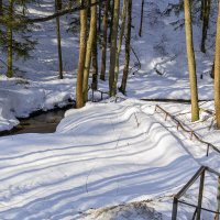 К ручью :: Сергей Цветков