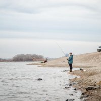 *** :: Елена Черненко