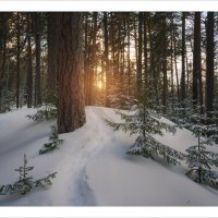 * :: Александр Иванов