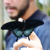 В парке бабочек :: Галина Ильясова