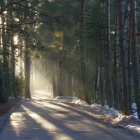 Весенним утром........... :: Юрий Цыплятников