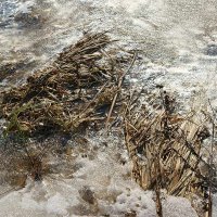 Весенний сюжет :: Сергей Курников