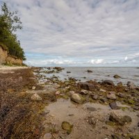 Побережье Балтийского моря... :: Николай Гирш