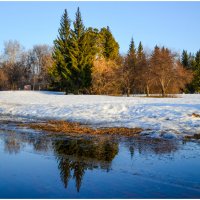 Весенние отражения. :: Михаил К