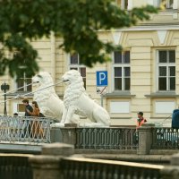 про знаки :: Андрей Литов