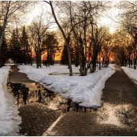 Аллеи весеннего парка. :: Михаил К