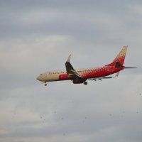 Воздушный трудяга Б737 а/к Россия. :: Alexey YakovLev