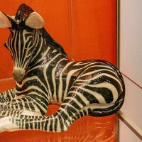 Зебра :: Ирина Соловьёва Зебра :: Ирина Соловьёва