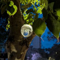 Когда фонарики качаются ночные... :: Валерий Готлиб