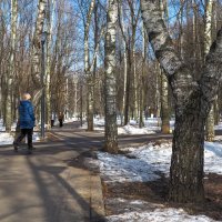 Прогулки в Весеннем Парке :: юрий поляков