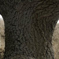 даже не знаю какое :: Анатолий Момотов