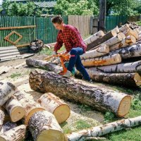 Хорошо иметь домик в деревне! :: Валерий Судачок