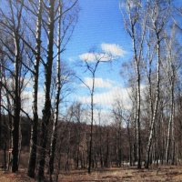 Красивый денёк :: Людмила Смородинская