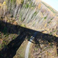 Тень. :: Андрей Катков