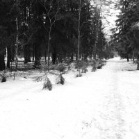 Мечты о ч/б Лейке 79. :: Михаил Елочкин