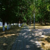 Керчь. Аллея улицы Кирова у Комсомольского парка. :: Пётр Чернега Керчь. Аллея улицы Кирова у Комсомольского парка. :: Пётр Чернега